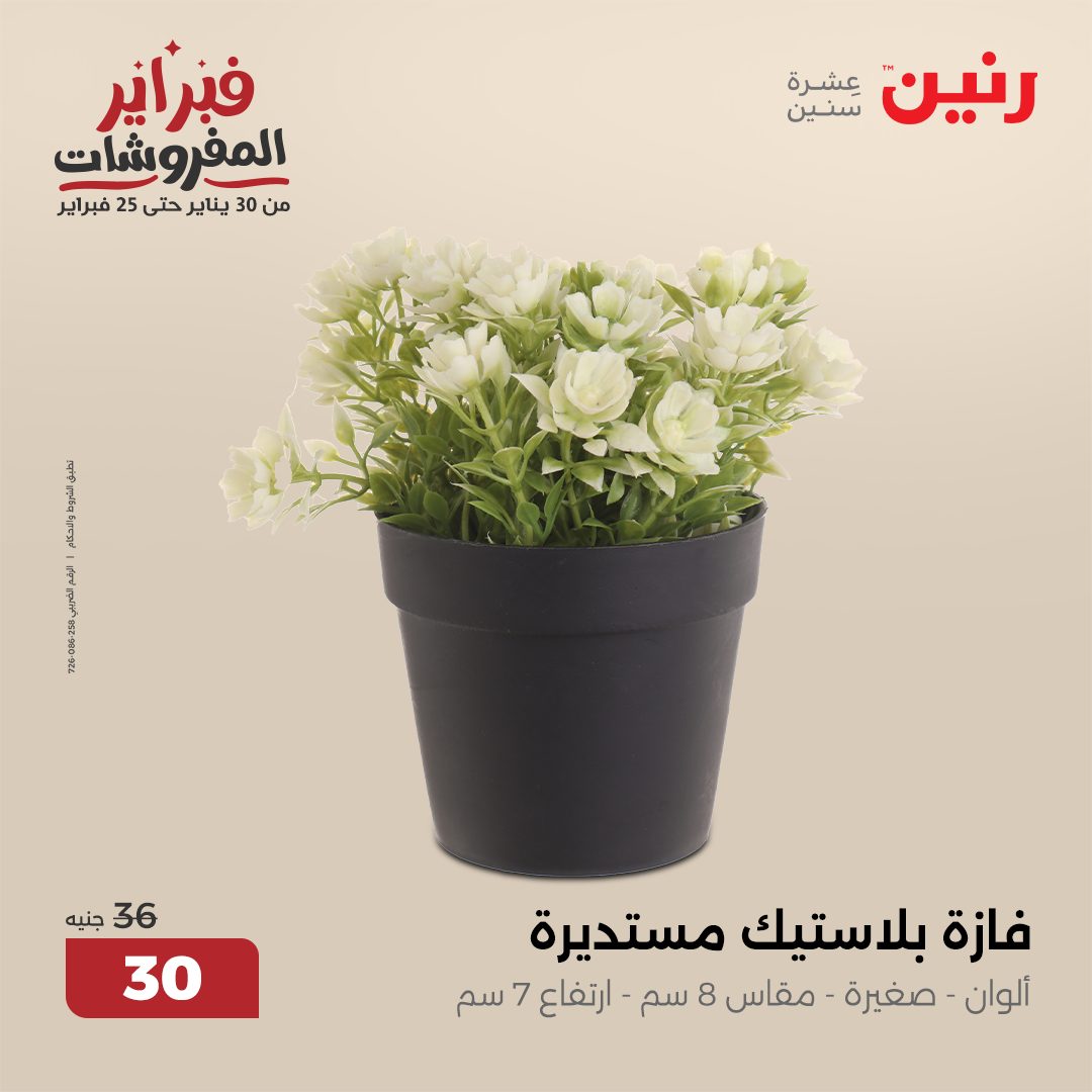 raneen offers from 6feb to 8feb 2025 عروض رنين من 6 فبراير حتى 8 فبراير 2025 صفحة رقم 28